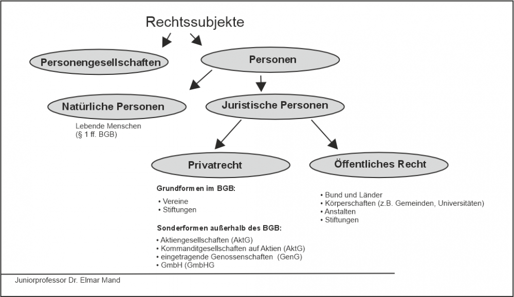 rechtssubjekte grafik